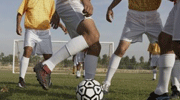 正在直播西菲尔文伦vs米佐拉姆邦警察FC 印米佐超集锦_录像回放视频 2024-09-18-360直播